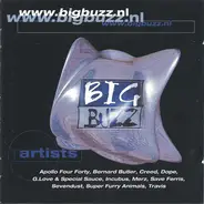 Dope, G.Love & Special Sauce, Bernard Butler - www.bigbuzz.nl