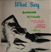 Agent Orange, Davie Allan a.o. - What Surf