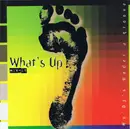 CD - DJ Chris, DJ Jeff & Steef - What's Up Mix-It: Mo' DJ's Under A Groove