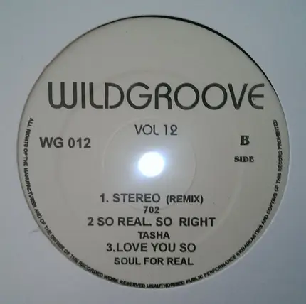 Montell Jordan a.o. - Wildgroove Vol 12