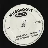 Eric Benet / Monifah / Entourage / Faith Evans - Wildgroove Vol. 30