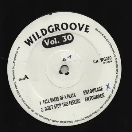 Eric Benet / Monifah / Entourage / Faith Evans - Wildgroove Vol. 30