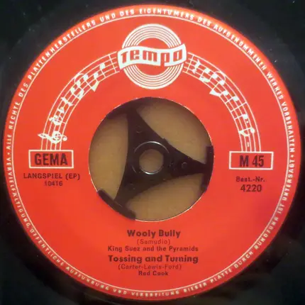 Red cook / The stars / A.O - Wooly Bully / Tossing And Turning / Help / Mr. Tambourine Man