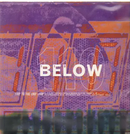 DJ Krush, Howie B., Ultramegnetic MC's a.o. - 110 Below :: Trip To The cHIP sHOP Vol. 2