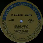 Double LP - Various - 20 Country Giants
