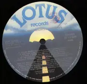 LP - Rock & Roll Compilation - 20 Golden Favourites Of The 60's
