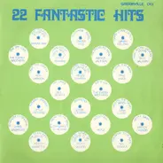 Johnny Ray / Little Richard / The Everly Brothers a.o. - 22 Fantastic Hits - The Rock'n Roll Revival Show