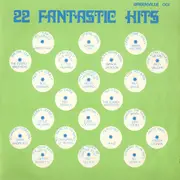 LP - Johnny Ray / Little Richard / The Everly Brothers a.o. - 22 Fantastic Hits - The Rock'n Roll Revival Show
