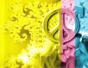 CD - Mary Wells / The Box Tops / The Searchers / a.o. - 60's Love Songs