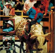 CD - John Anderson, Pam Tillis, Karla Bonoff - 8 Seconds (Original Motion Picture Soundtrack)