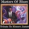 CD - Various Artists - Master of Blues - Tribute to Elmore James