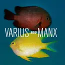 CD - Varius Manx - Ego