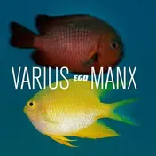 Varius Manx - Ego