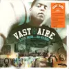 Double LP - Vast Aire - Look Mom... No Hands
