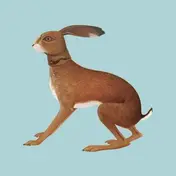 Vashti Bunyan - Lookaftering - Expanded Edition