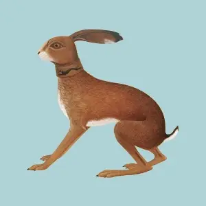 Vashti Bunyan - Lookaftering - Expanded Edition