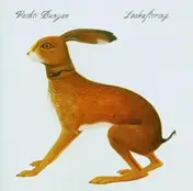 Vashti Bunyan - Lookaftering