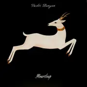 LP & CD - Vashti Bunyan - Heartleap - +CD