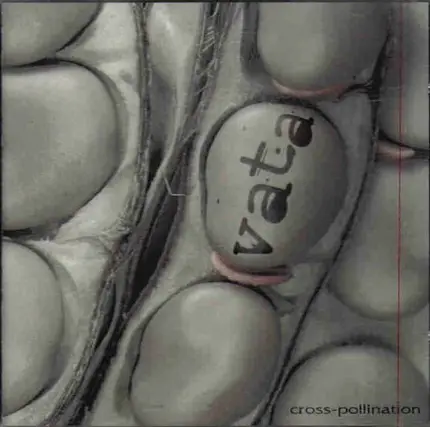 Vata - Cross Pollination