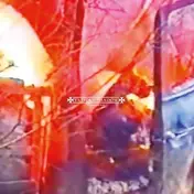 Vatican Shadow - Ornamented Walls