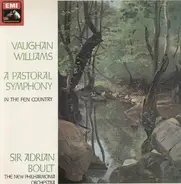Ralph Vaughan Williams / Alison Barlow , Royal Liverpool Philharmonic Orchestra , Vernon Handley - A Pastoral Symphony