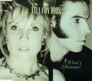 CD Single - Vaya Con Dios - What's A Woman?