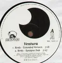 12'' - Ventura - Birds