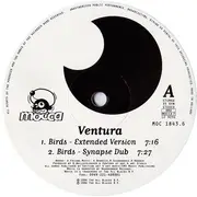 12inch Vinyl Single - Ventura - Birds