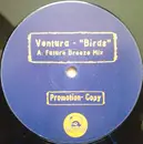 12inch Vinyl Single - Ventura - Birds - Promo