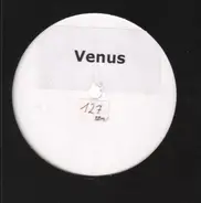 Venus - Venus