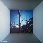 Venus Hum - Big Beautiful Sky