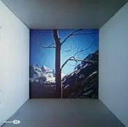 Venus Hum - Big Beautiful Sky