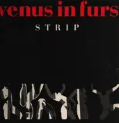 venus in furs