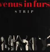 Venus In Furs - Strip