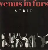venus in furs - Strip