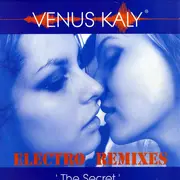 12inch Vinyl Single - Venus Kaly - The Secret (Electro Remixes)