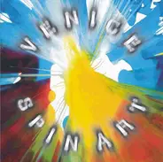 Venice - Spin Art