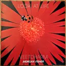 LP - Veetdharm - Look At Life