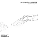 12'' - Vegetable Orchestra - Remix Trilogy (Volume Two)