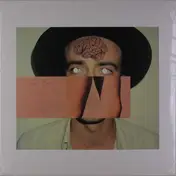 The Veils - TROUBLES OF THE BRAIN