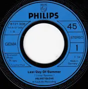 7inch Vinyl Single - Velvet Glove - Last Day Of Summer