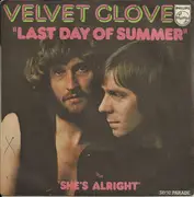 7inch Vinyl Single - Velvet Glove - Last Day Of Summer