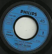 7inch Vinyl Single - Velvet Glove - Last Day Of Summer