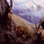 Velveteen - 27