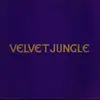 12'' - Velvet Jungle - C'mon C'mon (I'm Not In Love With You)