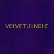 12'' - Velvet Jungle - C'mon C'mon (I'm Not In Love With You)