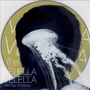 Velella Velella - The Bay of Biscay