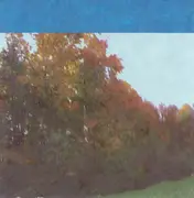CD - Velour 100 - Fall Sounds