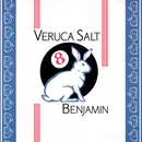 7inch Vinyl Single - Veruca Salt - Benjamin