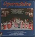 LP-Box - Verdi / Beethoven / Mussrogsky - Opernchöre - Hardcover Box + Booklet